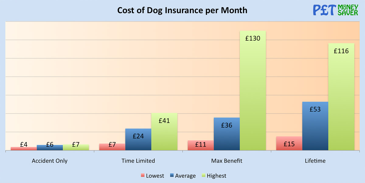 How Much Is Dog Insurance Petmoneysaver