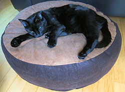 Lazy Days Round Cat Bed