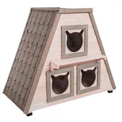 Madeira Cat House