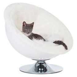 unusual cat beds