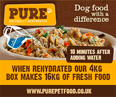 Compare Pet Insurance