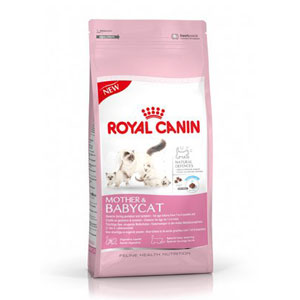 Cheap Royal Canin Feline Mother and Babycat 4kg