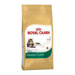 Cheap Royal Canin Maine Coon 2kg