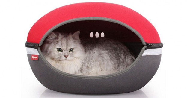 Best Cat Bed Review