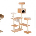 15 of the Best Cat Trees & Scratching Posts