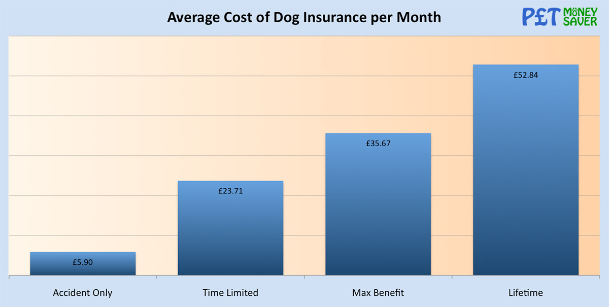 Average Cost of Dog Insurance per Month PetMoneySaver