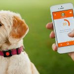 5 of the Hottest Smart Tech Pet Products