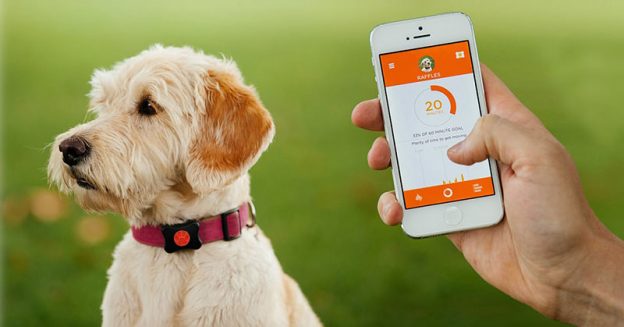 Best Smart Tech Pet Products