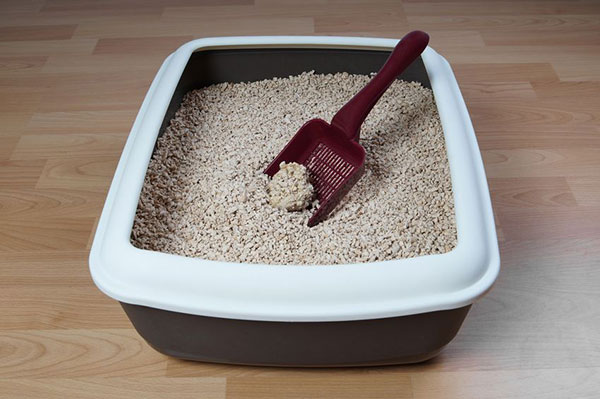 Clumping cat litter