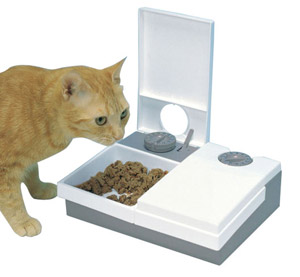 cat food timer feeder