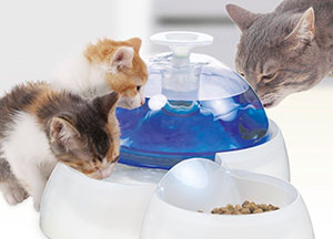 Catit Fresh & Clear Drinking Fountain