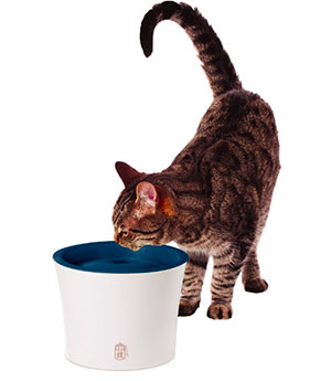 Catit Senses Water Fountain