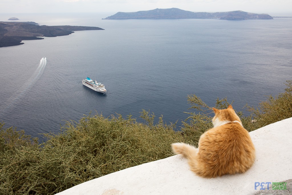 Admiring the view from Santorini