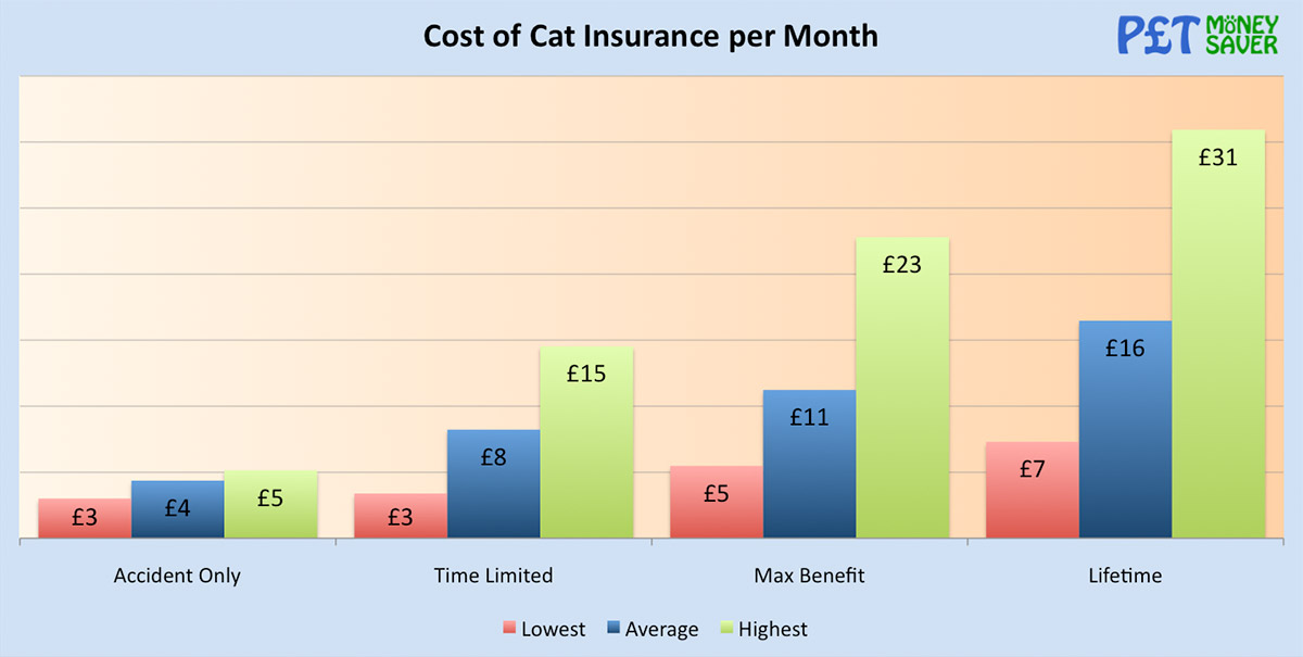 Cost of Cat Insurance per Month