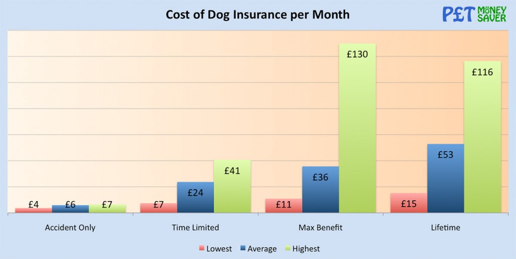 How Much is Dog Insurance? PetMoneySaver How Much is Dog Insurance? PetMoneySaver