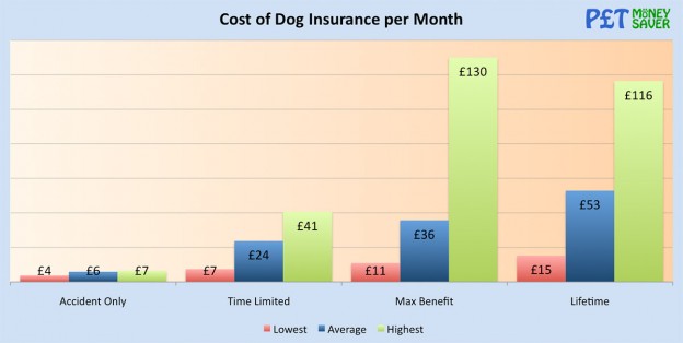 How Much is Dog Insurance? | PetMoneySaver