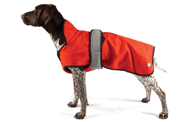 Keep your dog warm with an insulated dog coat