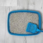 How to Dispose of Cat Litter Safely & Cleanly