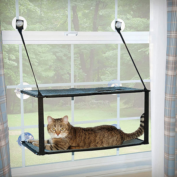 Double Layer Cat Window Bed