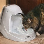 15 of the Best Pet Water Fountains – Reviews & Buying Guide