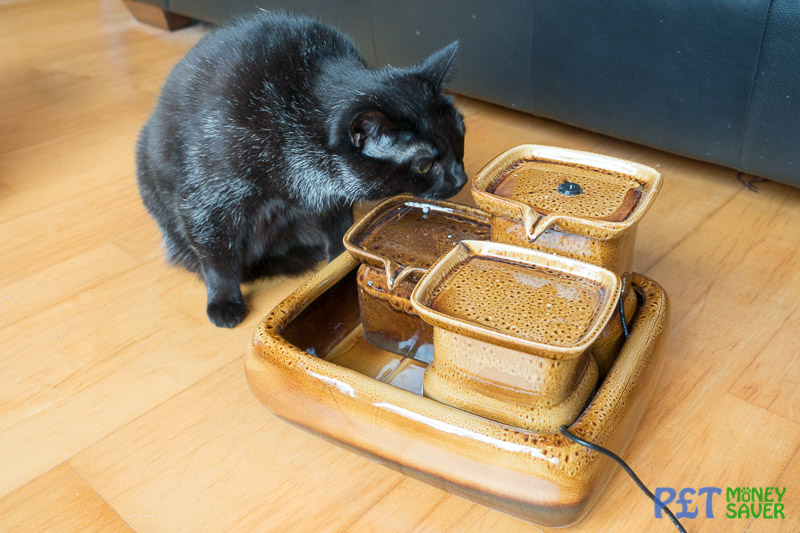 miau cat fountain