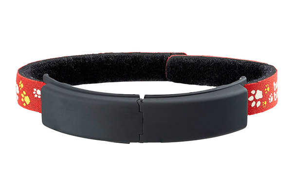 PawTrax Halo V4 GPS Cat Collar