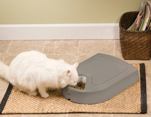 PetSafe Eatwell 5 Meal Pet Feeder