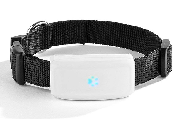 TKStar GPS Pet Tracker