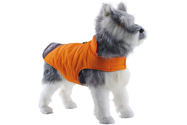 ThinkPet Outdoor Adventure Winter Dog Jacket