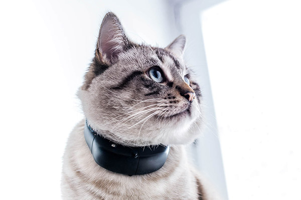 Tractive GPS Cat Tracker