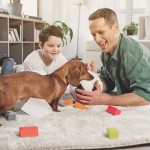 Training a Puppy in an Apartment