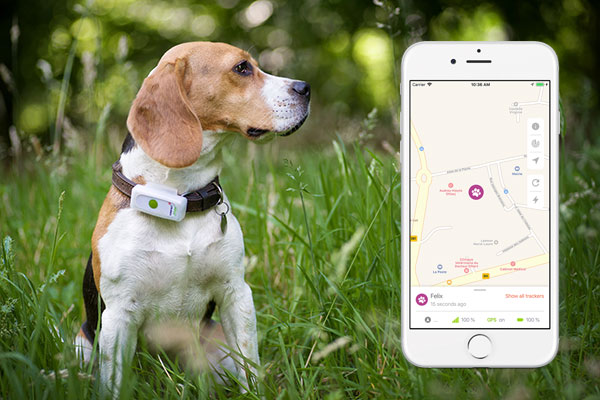 Weenect GPS Cat and Dog Tracker