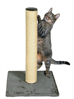 Trixie Parla Scratching Post