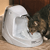 Cat Water Drinking Fountains