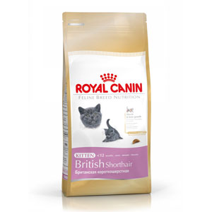Cheap Royal Canin British Shorthair Kitten 400g