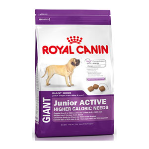 Cheap Royal Canin Giant Junior Active 15kg