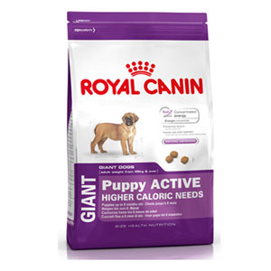 Cheap Royal Canin Giant Puppy Active 15kg