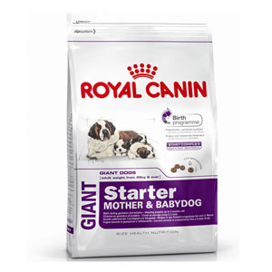 Cheap Royal Canin Giant Starter 15kg