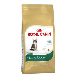 Cheap Royal Canin Maine Coon Kitten 4kg