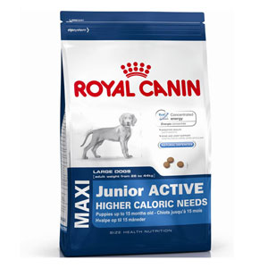 Cheap Royal Canin Maxi Junior Active 15kg