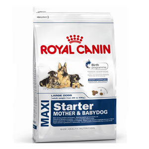 Cheap Royal Canin Maxi Starter 15kg