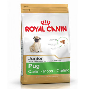 Cheap Royal Canin Pug Junior 1.5kg