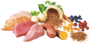 Pet Food Ingredients